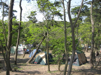 富津キャンプ 030.JPG